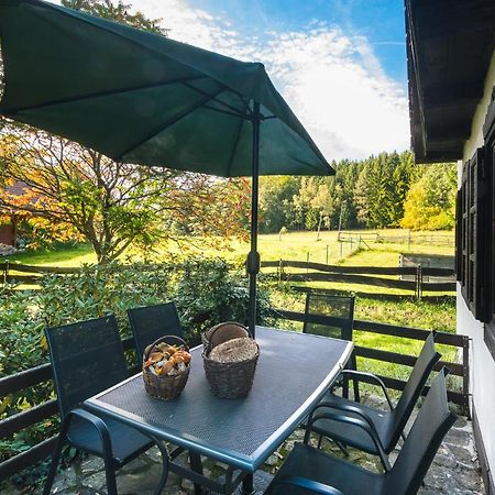 Vacation House Kurtovec Benesov nad Cernou Extérieur photo